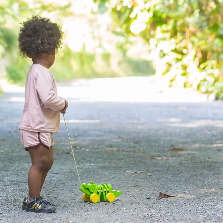 Toys Plan Toys Wooden Toys | Dancing Alligator