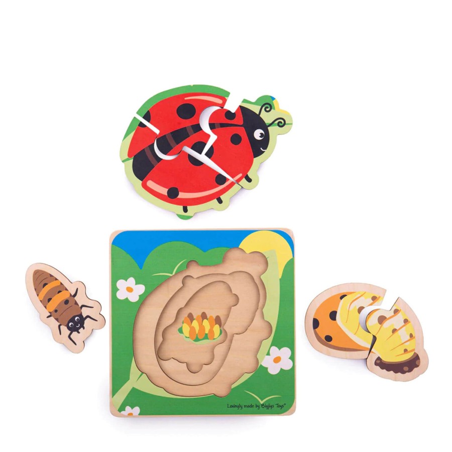 Toys Big Jigs Games, Puzzles, Jigsaws | Lifecycle Layer Puzzle - Ladybug