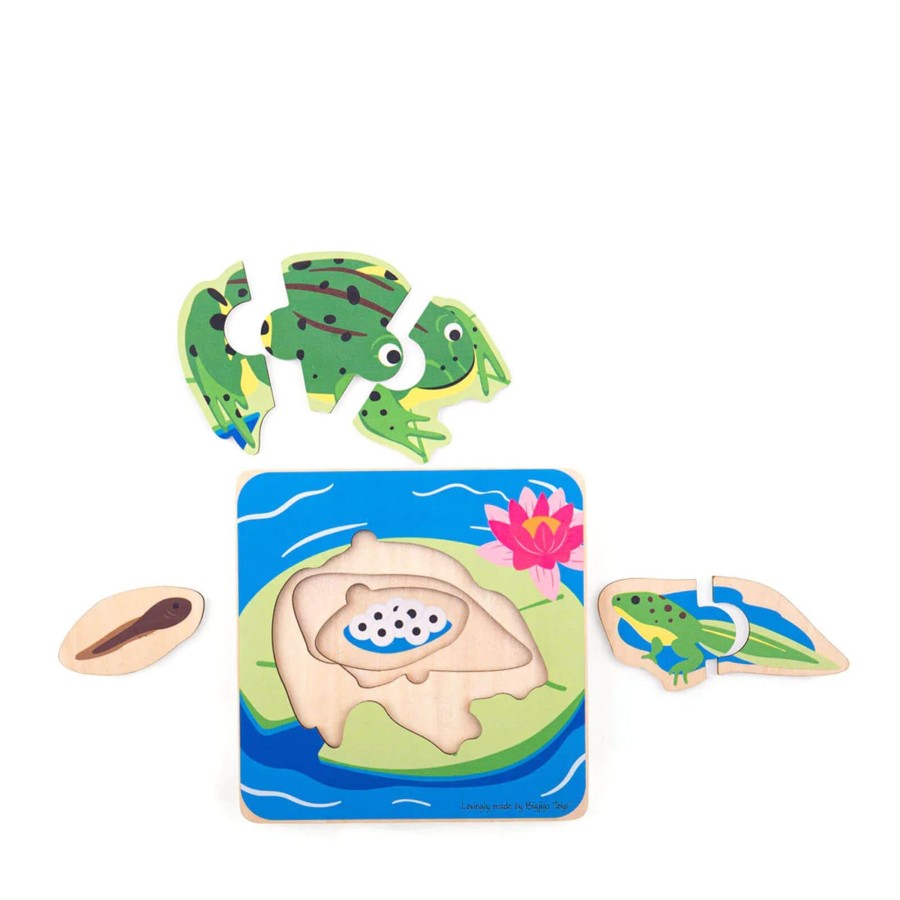 Toys Big Jigs Games, Puzzles, Jigsaws | Lifecycle Layer Puzzle - Frog